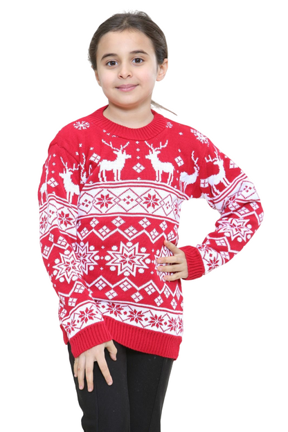 Unisex Kids Christmas Jumpers