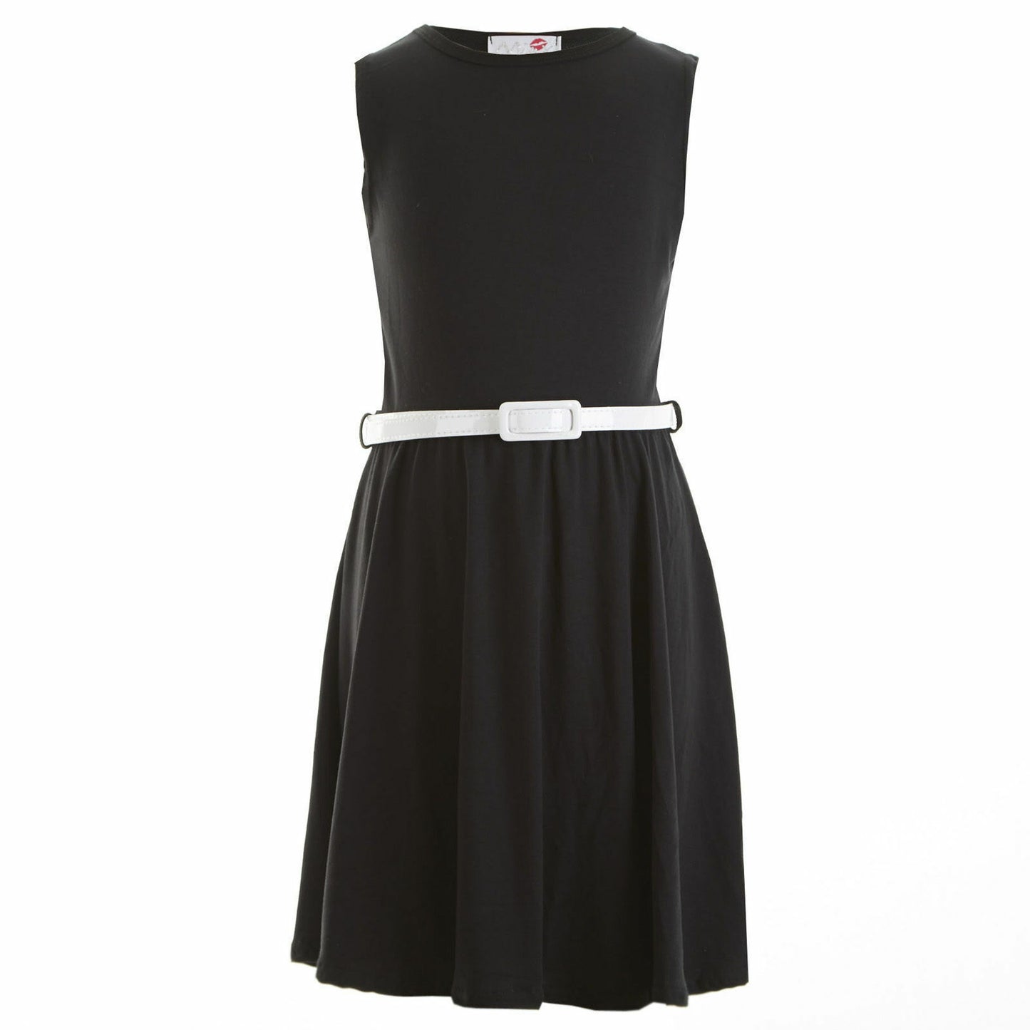 Sleeveless Belted Skater Dress